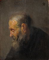 Rembrandt Oil study of an old man