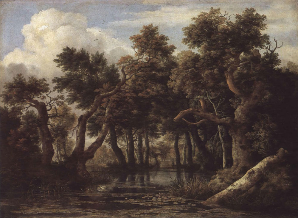 Jacob van Ruisdael - Marsh in a Forest