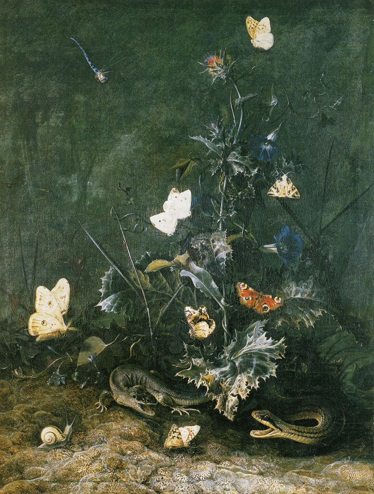 Otto Marseus van Schrieck - Thistle with Lizard, Snake, and Butterfly