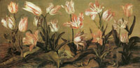 Jacob Gerritsz. Cuyp Tulips