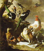 Melchior d'Hondecoeter The bird concert