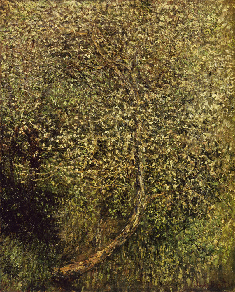 Claude Monet - Apple trees in bloom