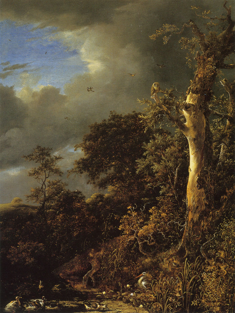 Jacob van Ruisdael - Oak Tree and Dense Shrubbery at the Edge of a Pond
