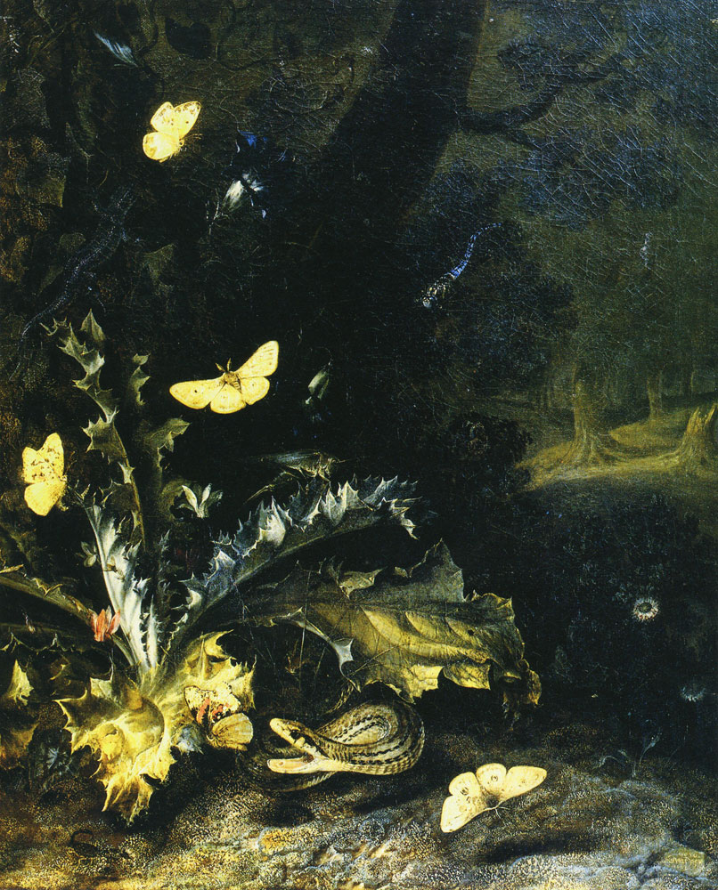 Otto Marseus van Schrieck - Forest Floor with Thistle, Reptiles, and Insects
