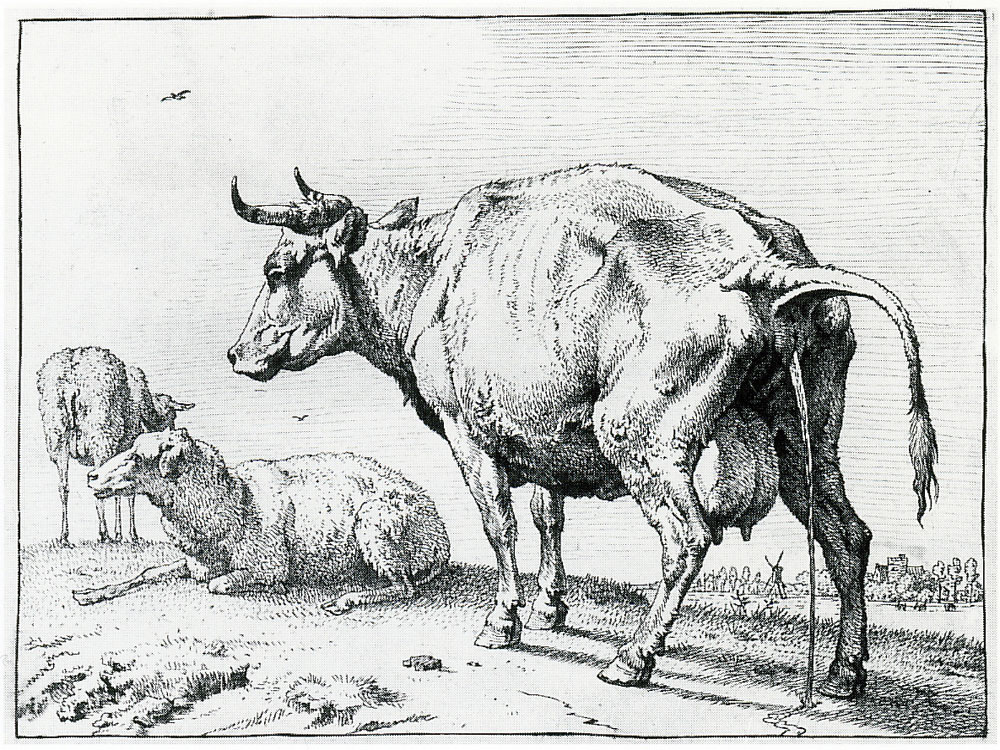 Paulus Potter - Pissing cow