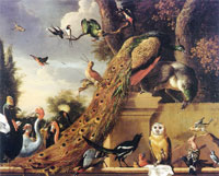 Melchior d'Hondecoeter Bird concert