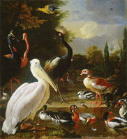 Melchior d'Hondecoeter A pelican and other birds near a pool