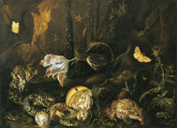 Otto Marseus van Schrieck Forest Floor with Mushrooms, Snakes, Toad and Lizard