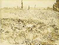 Vincent van Gogh Wheat Field