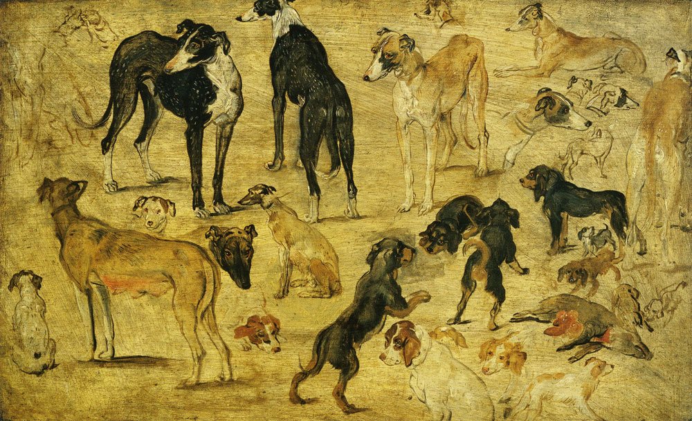 Jan Brueghel the Elder - Studies of Hunting Dogs