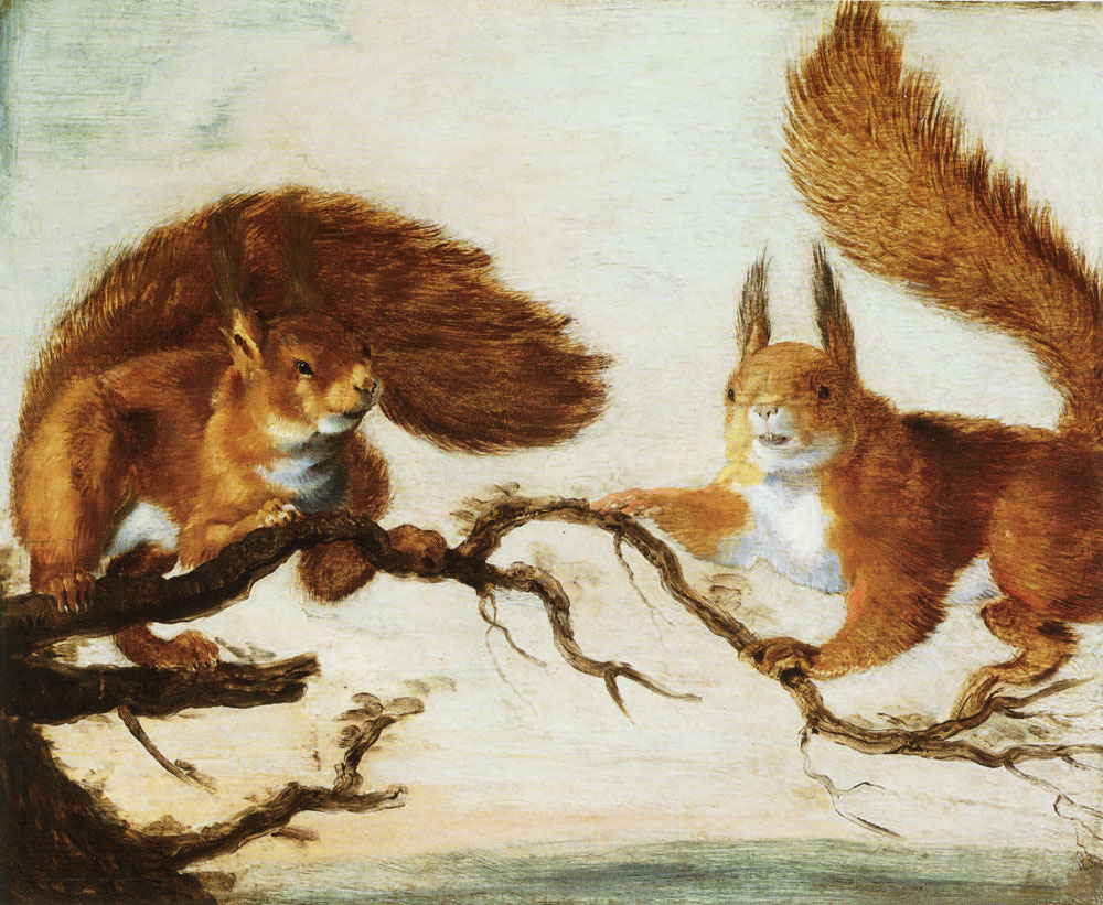 Attributed to Jan Brueghel the Elder - Two Squirrels