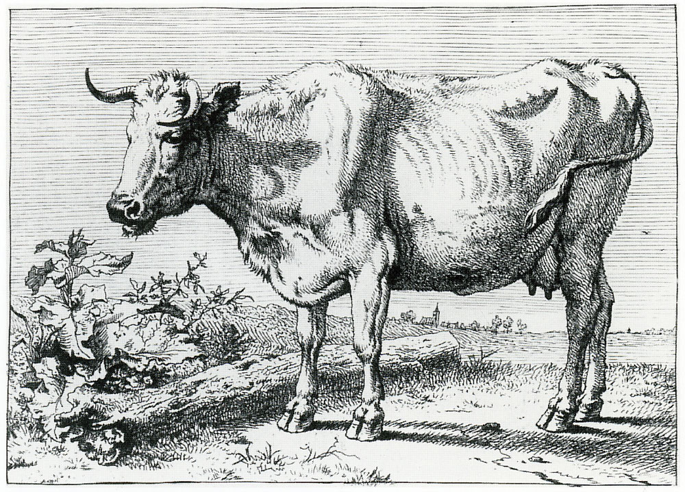 Paulus Potter - Cow with Bent Horn
