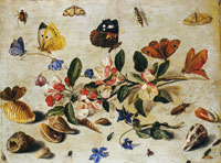 Jan van Kessel the Elder Flowers and Insects
