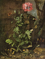 Otto Marseus van Schrieck Still Life with Poppy, Insects, and Reptiles