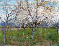 Vincent van Gogh Orchard with Blossoming Apricot Trees