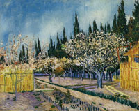 Vincent van Gogh Orchard Surrounded by Cypresses
