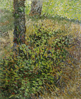Vincent van Gogh Undergrowth