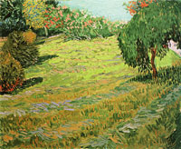 Vincent van Gogh Newly Mowed Lawn with Weeping Tree