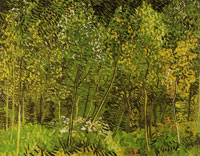 Vincent van Gogh Trees