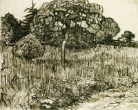 Vincent van Gogh Weeping Tree on a Lawn