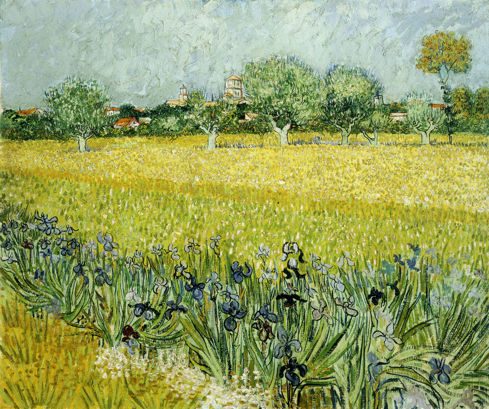 Vincent van Gogh - Field with Flowers