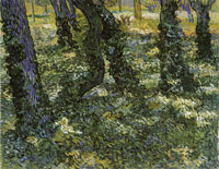 Vincent van Gogh Trunks of Trees with Ivy