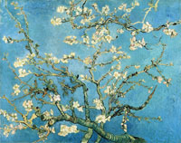 Vincent van Gogh Branches of a Blossoming Almond Tree