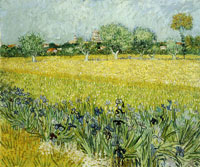 Vincent van Gogh Field with Flowers