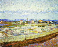Vincent van Gogh Peach Blossom in the Crau