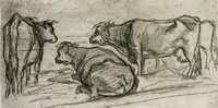 Claude Monet Study of Cows