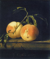 Willem van Aelst Two Peaches