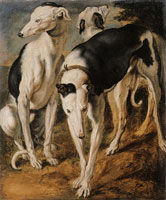 Frans Snyders Three dogs