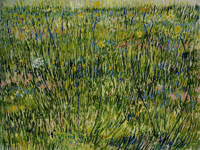 Vincent van Gogh Patch of Grass