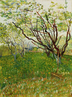 Vincent van Gogh The Flowering Orchard