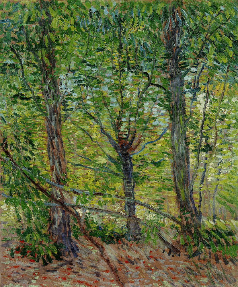Vincent van Gogh - Trees and Undergrowth
