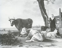 Anthonie van Borssom Cows