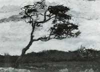 Vincent van Gogh A windswept tree