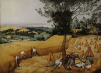 Pieter Bruegel the Elder The grain harvest