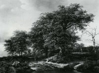 Jacob van Ruisdael - Road with Massive Oaks near a Farm