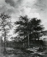 Jacob van Ruisdael Landscape with a Clump of Tall Trees