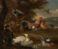 Melchior d'Hondecoeter Chickens and Ducks