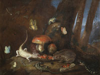 Otto Marseus van Schrieck A forest floor with lizards, toads and butterflies