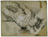 Peter Paul Rubens - Study of a Male Nude
