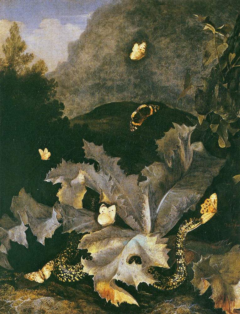 Otto Marseus van Schrieck - Forest Floor with Snake, Butterflies, and Thistles