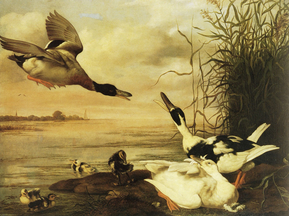 Johannes Spruijt - Ducks at a lake