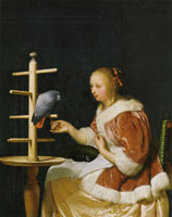 Frans van Mieris A Woman with a Parrot