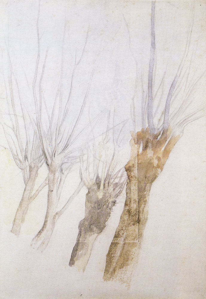 Edgar Degas - Four willow trees