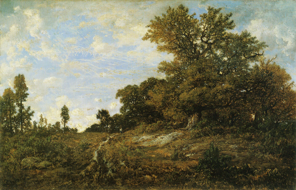 Théodore Rousseau - The Edge of the Woods at Monts-Girard, Fontainebleau Forest