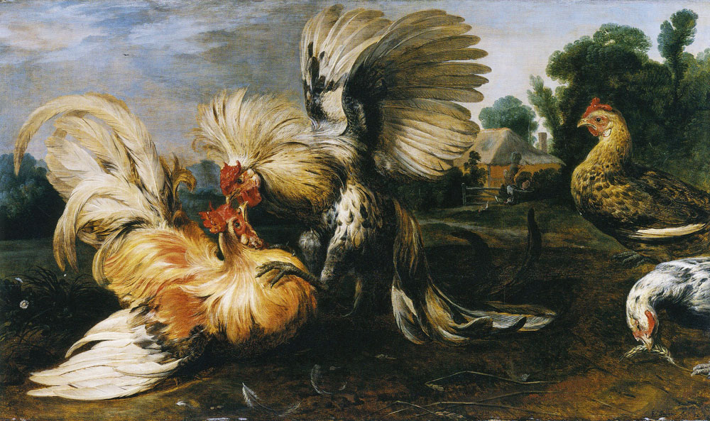 Frans Snyders - Cockfight