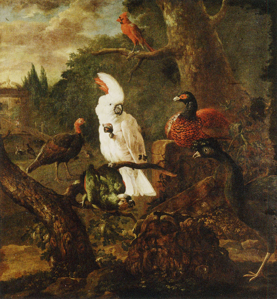 Willem van Royen - White cockatoo and other birds